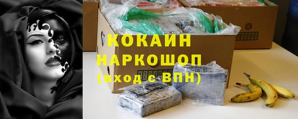 кокс Алексин