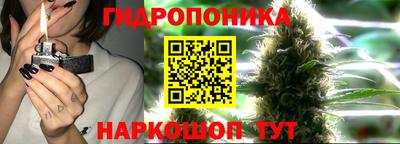 гидра Кулебаки