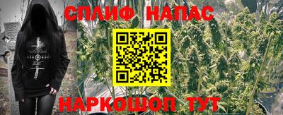 трава Кунгур