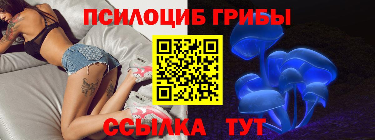 Ишим  Галлюциногенные грибы Cubensis  Вход с VPN 